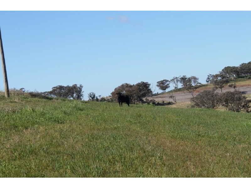 Old Gundagai Road, Cootamundra NSW 2590
