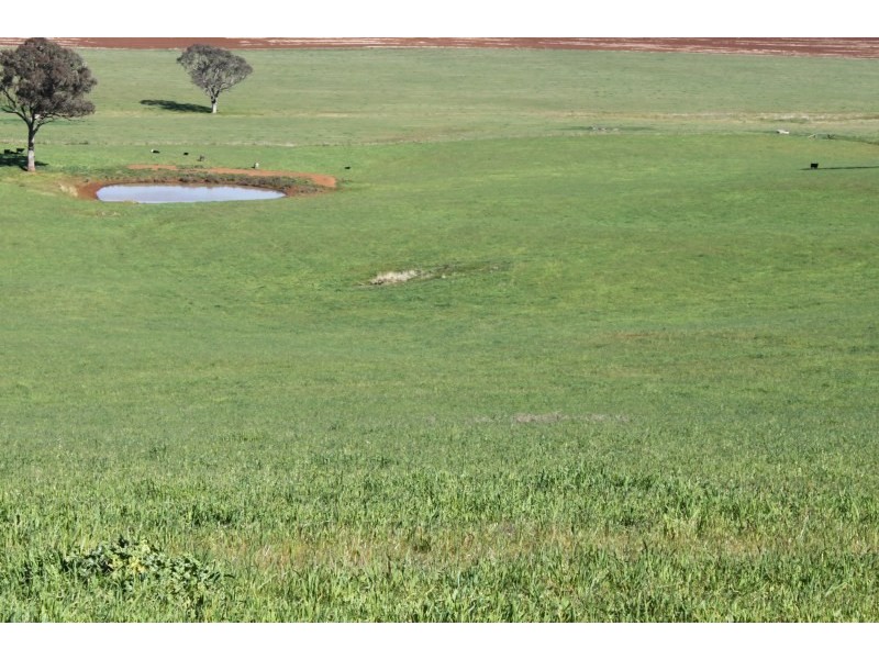 Old Gundagai Road, Cootamundra NSW 2590