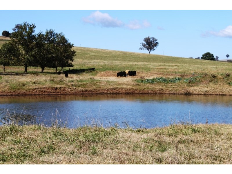 Old Gundagai Road, Cootamundra NSW 2590