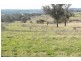 440 Milvale Road, Young NSW 2594