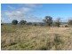 440 Milvale Road, Young NSW 2594