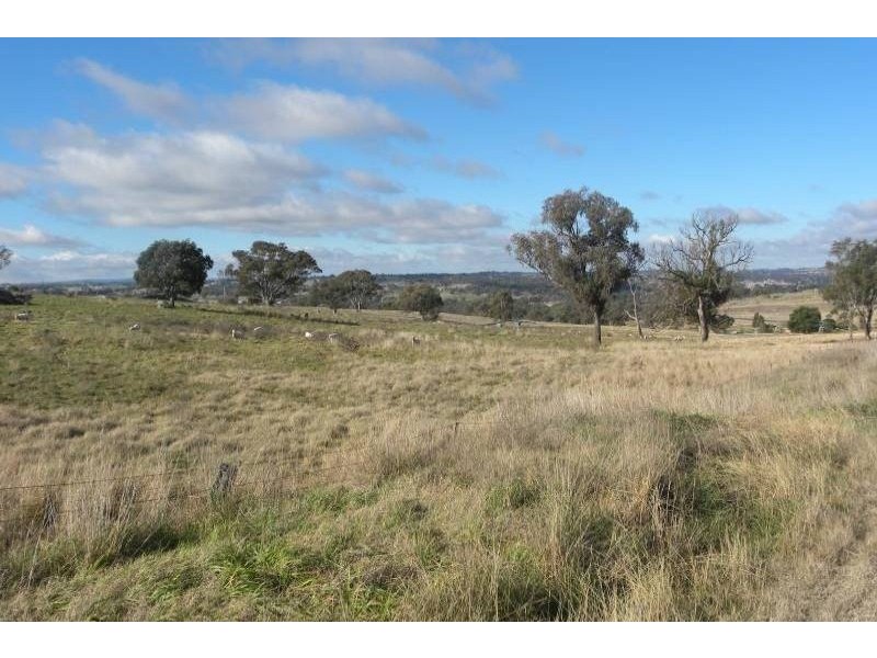 440 Milvale Road, Young NSW 2594