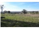 440 Milvale Road, Young NSW 2594