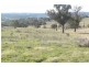 440 Milvale Road, Young NSW 2594