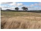 440 Milvale Road, Young NSW 2594