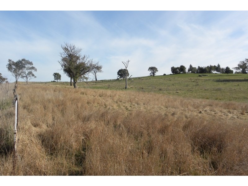 440 Milvale Road, Young NSW 2594