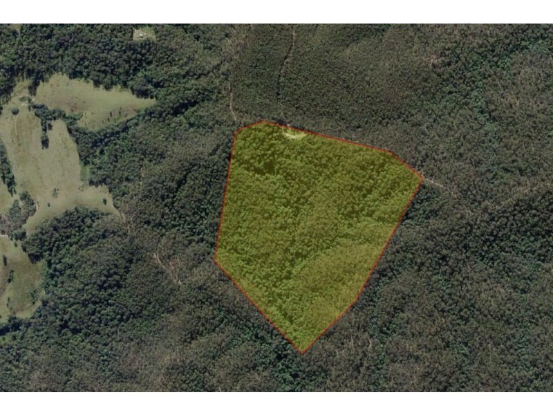 591 Briggs Tower Road, Collombatti NSW 2440