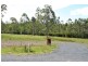 Lot 15,  Jack Richardson Drive, Yarravel NSW 2440