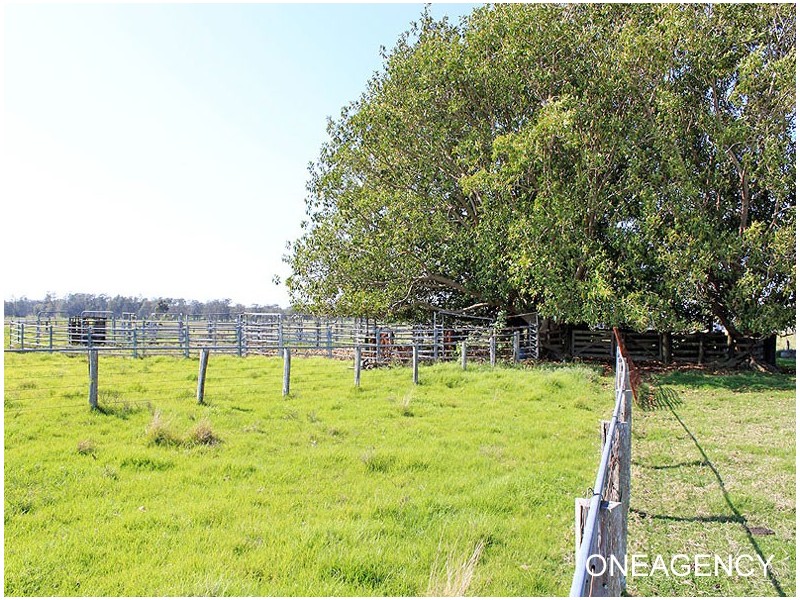 Lots 1 & 2 Hat Head Road, Kinchela NSW 2440