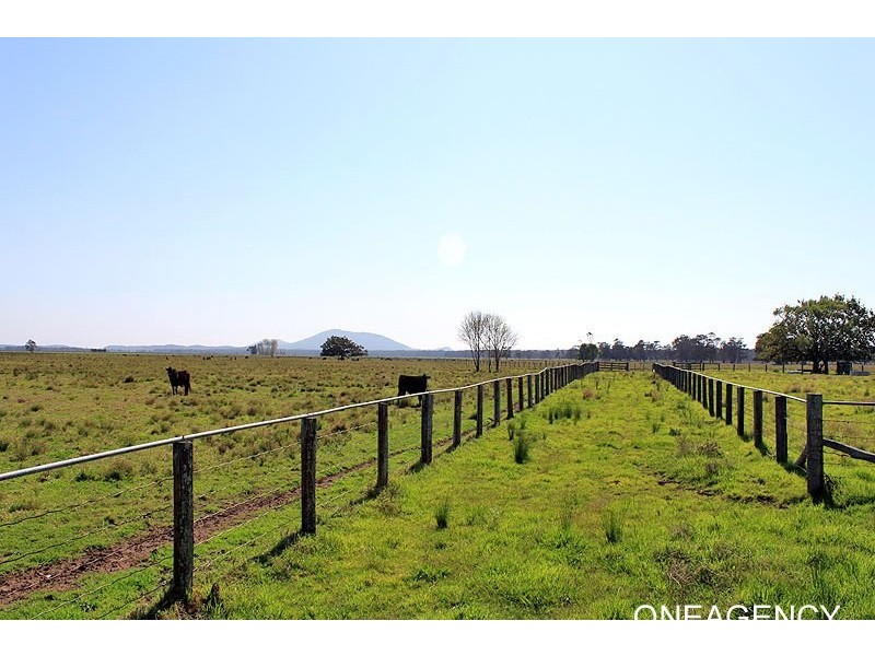 Lots 1 & 2 Hat Head Road, Kinchela NSW 2440