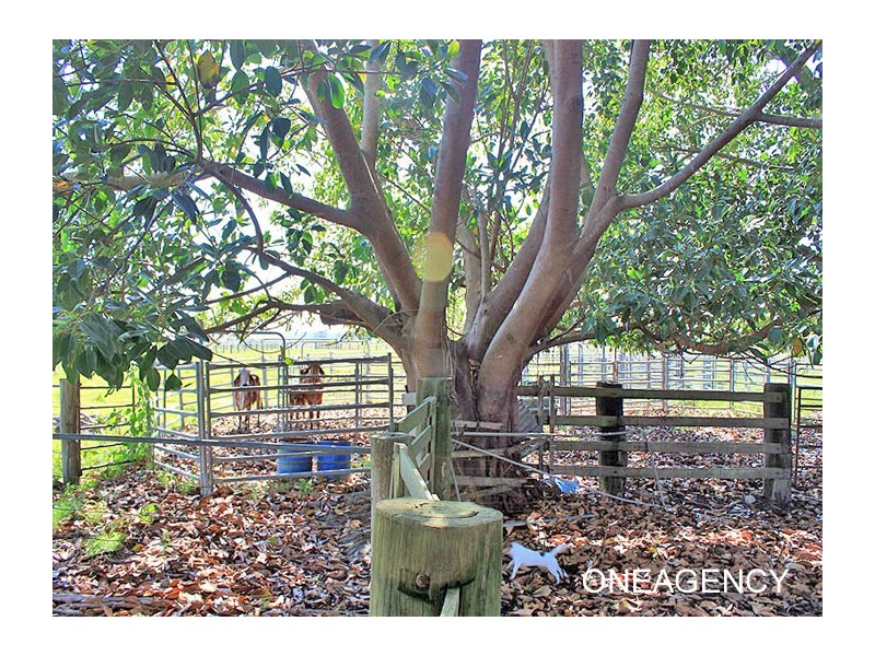 Lots 1 & 2 Hat Head Road, Kinchela NSW 2440