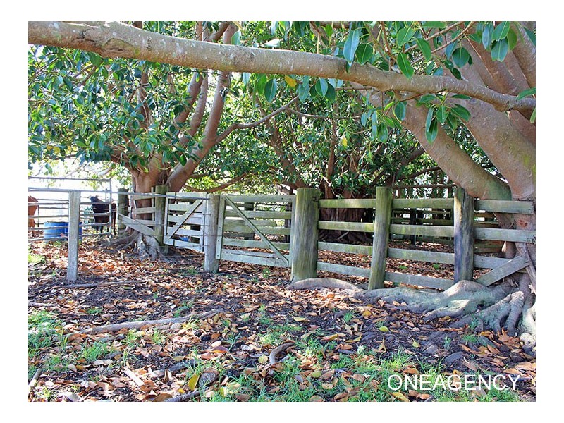 Lots 1 & 2 Hat Head Road, Kinchela NSW 2440