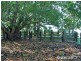 Lots 1 & 2 Hat Head Road, Kinchela NSW 2440