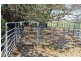 Lots 1 & 2 Hat Head Road, Kinchela NSW 2440
