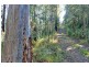 Lot 20 Toorumbee Road, Moparrabah NSW 2440