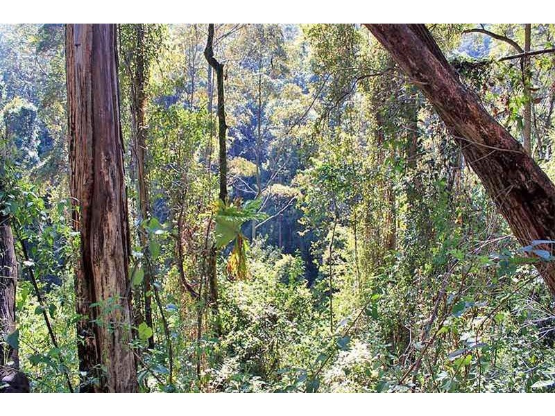 Lot 20 Toorumbee Road, Moparrabah NSW 2440