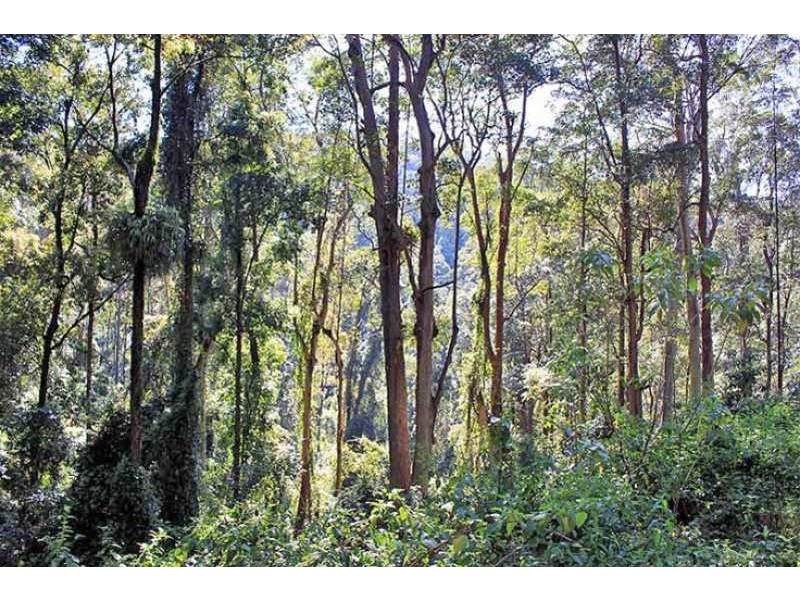 Lot 20 Toorumbee Road, Moparrabah NSW 2440