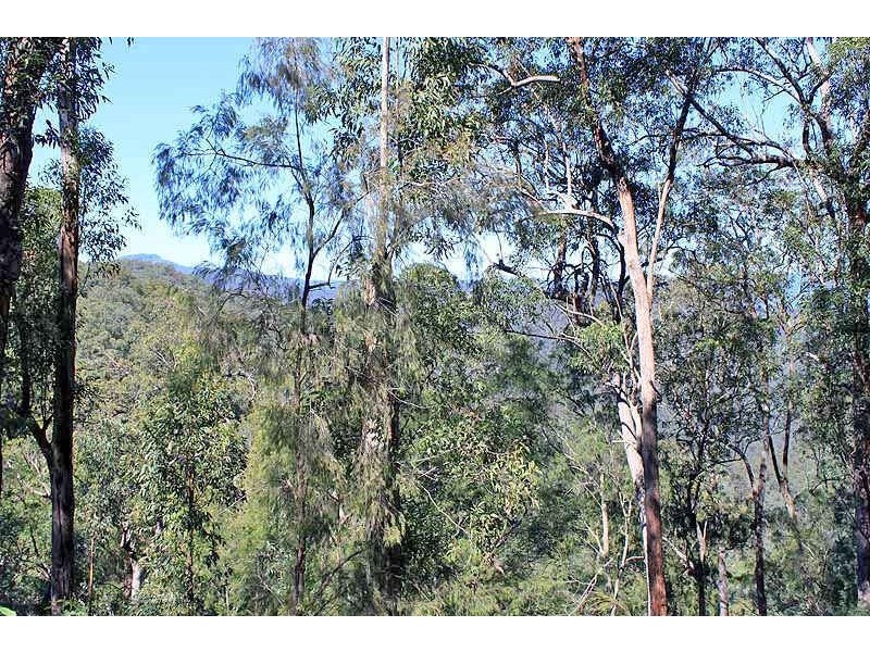 Lot 20 Toorumbee Road, Moparrabah NSW 2440