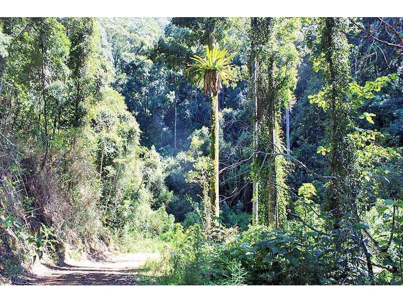 Lot 20 Toorumbee Road, Moparrabah NSW 2440