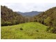 Toorumbee Road, Moparrabah NSW 2440
