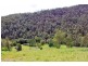 Toorumbee Road, Moparrabah NSW 2440