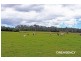 27 Hallelujah Drive, Collombatti NSW 2440