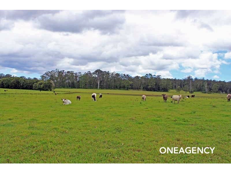 27 Hallelujah Drive, Collombatti NSW 2440