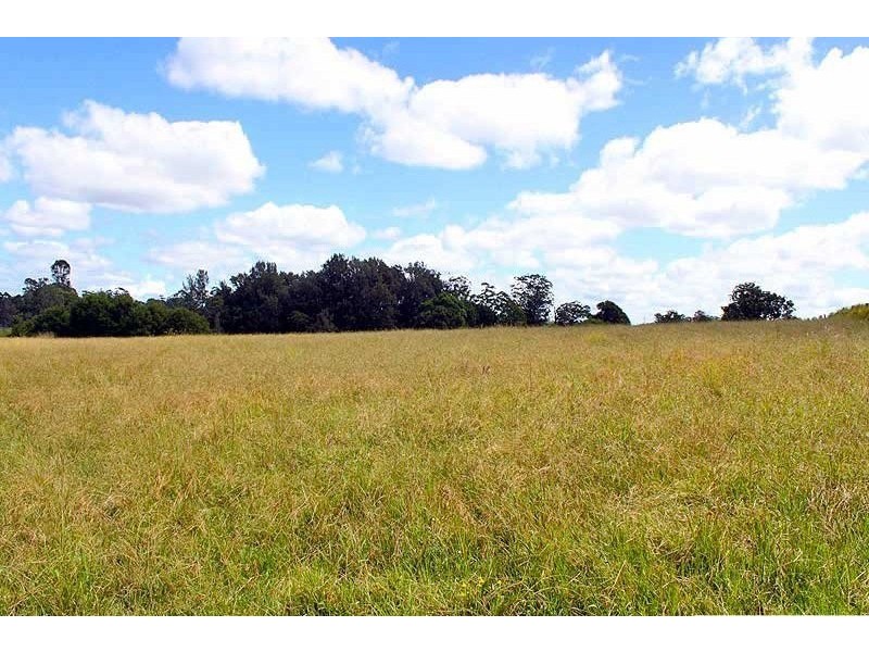 50 Dennis Road, Mungay Creek NSW 2440