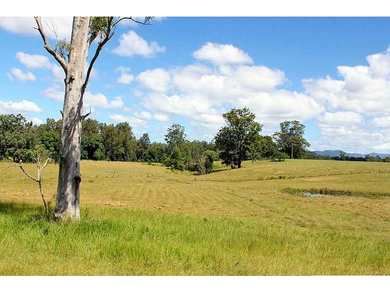 50 Dennis Road, Mungay Creek NSW 2440