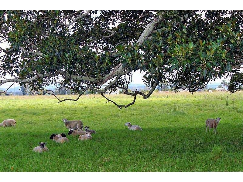 43 Smithtown Road, Seven Oaks NSW 2440