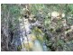 91 Commong Lane, Yessabah NSW 2440