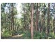 91 Commong Lane, Yessabah NSW 2440