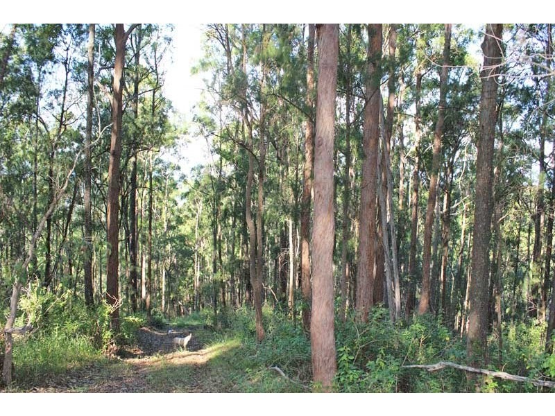 91 Commong Lane, Yessabah NSW 2440