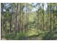 91 Commong Lane, Yessabah NSW 2440