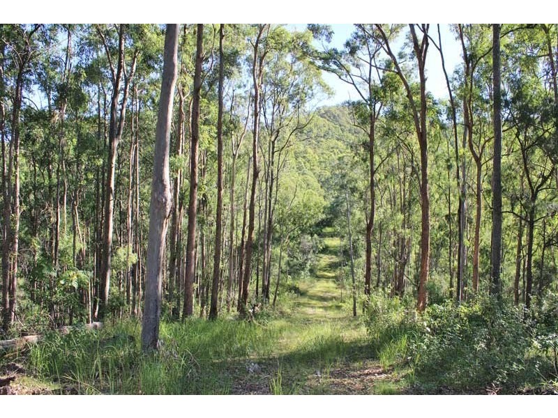 91 Commong Lane, Yessabah NSW 2440