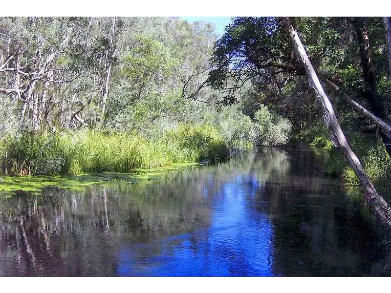Lot 49,  Winstead Road, Kundabung NSW 2441