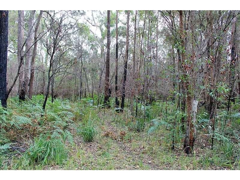 Lot 49,  Winstead Road, Kundabung NSW 2441