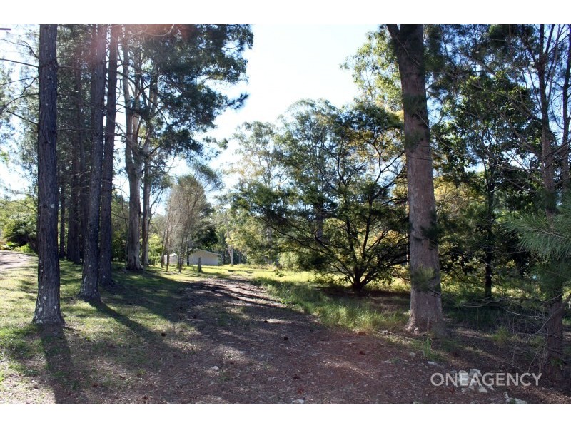 42 Sherwood Road, Aldavilla NSW 2440