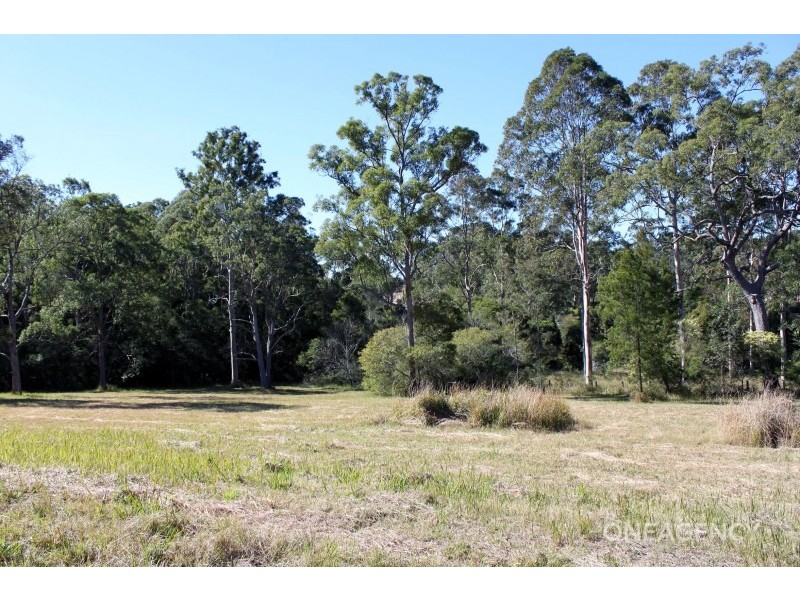 42 Sherwood Road, Aldavilla NSW 2440