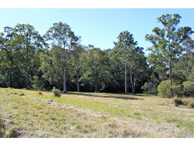 42 Sherwood Road, Aldavilla NSW 2440