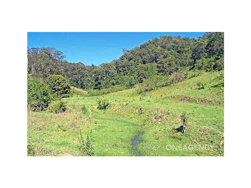 Armidale Road, Bellbrook NSW 2440