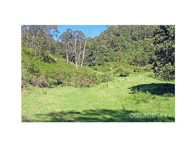 Armidale Road, Bellbrook NSW 2440