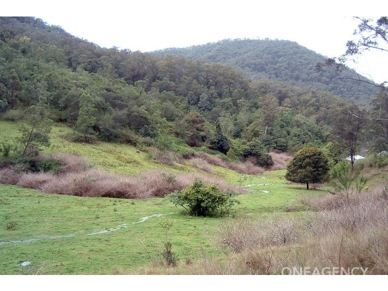 Armidale Road, Bellbrook NSW 2440