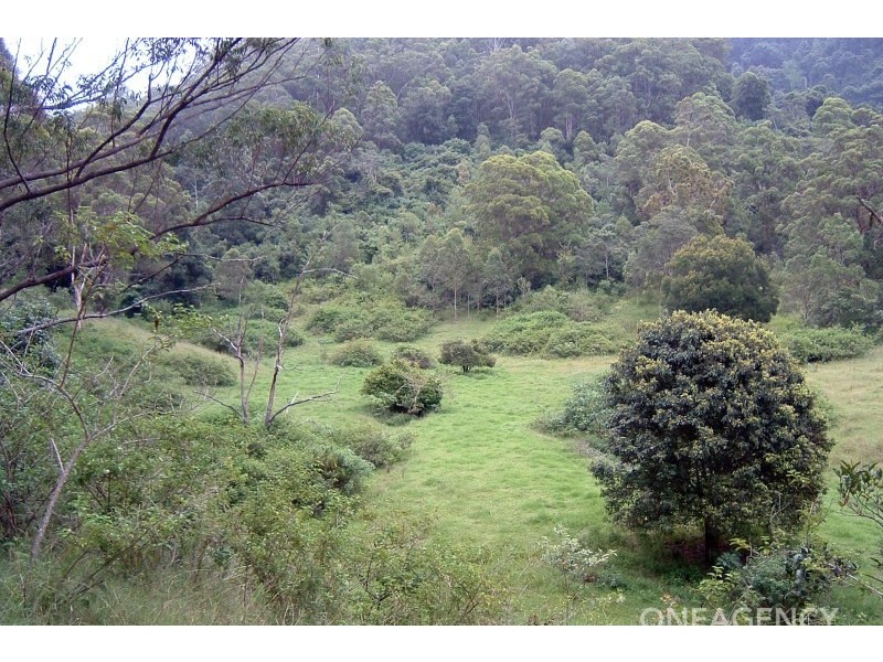 Armidale Road, Bellbrook NSW 2440