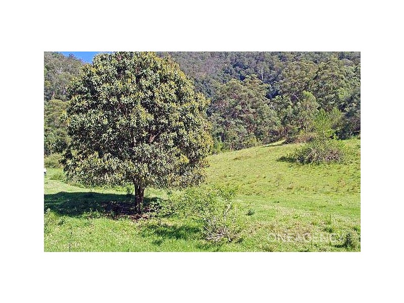 Armidale Road, Bellbrook NSW 2440