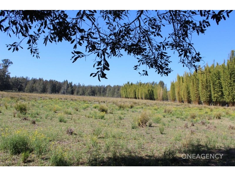 Lot 4 Maria River Road, Crescent Head NSW 2440