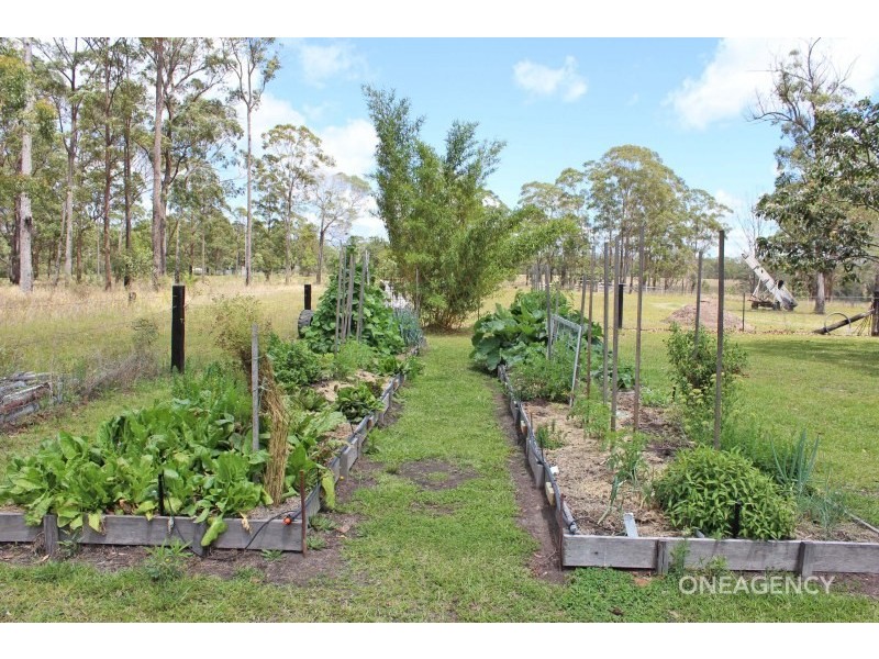 174 Verges Creek Road, Verges Creek NSW 2440