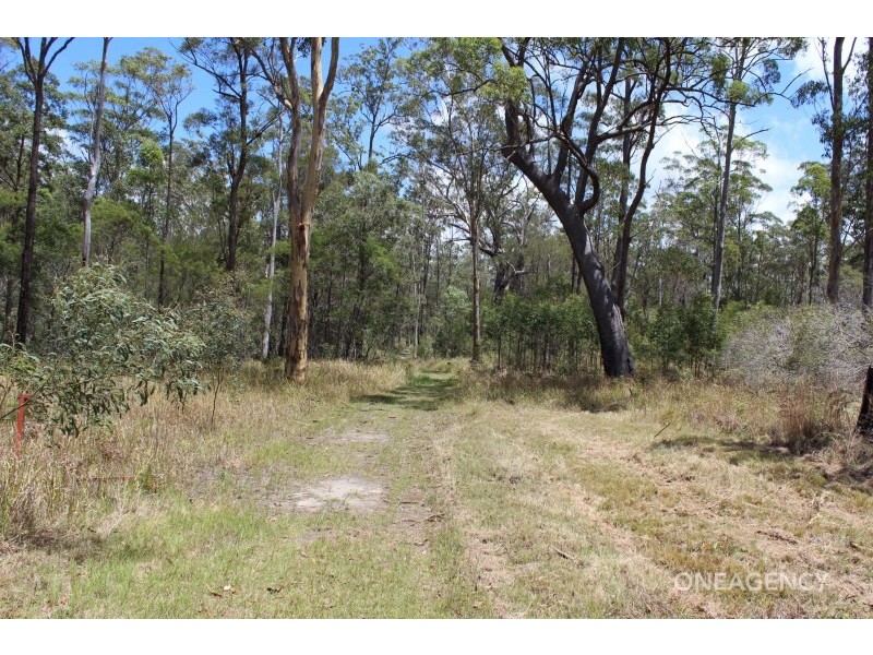 174 Verges Creek Road, Verges Creek NSW 2440