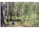 174 Verges Creek Road, Verges Creek NSW 2440