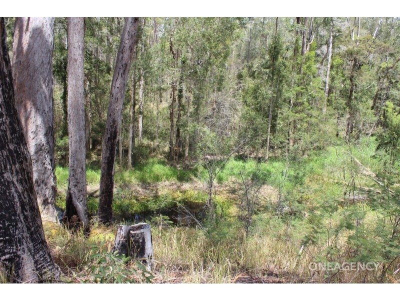 174 Verges Creek Road, Verges Creek NSW 2440